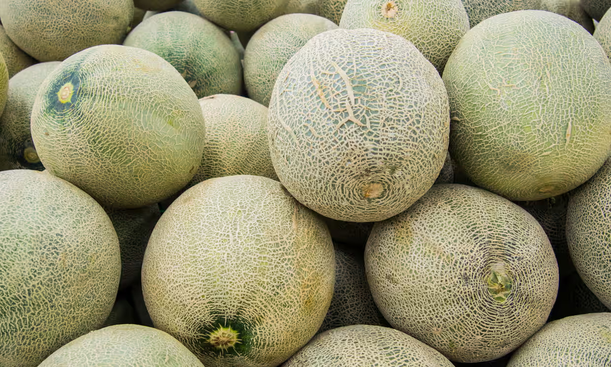Melons